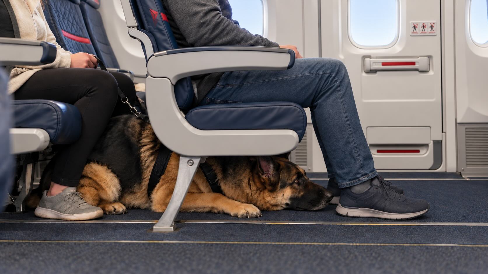 Delta service-dog row, Pacific push and cheap fares